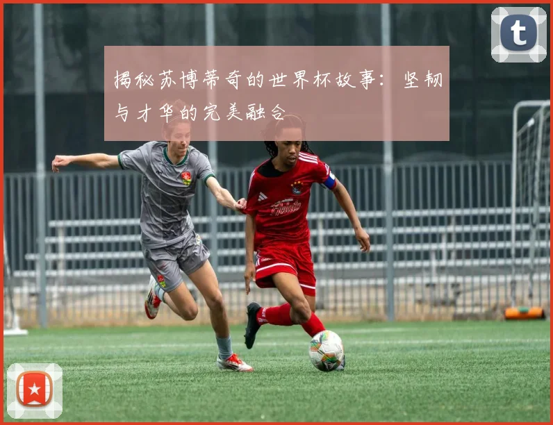 揭秘苏博蒂奇的世界杯故事：坚韧与才华的完美融合