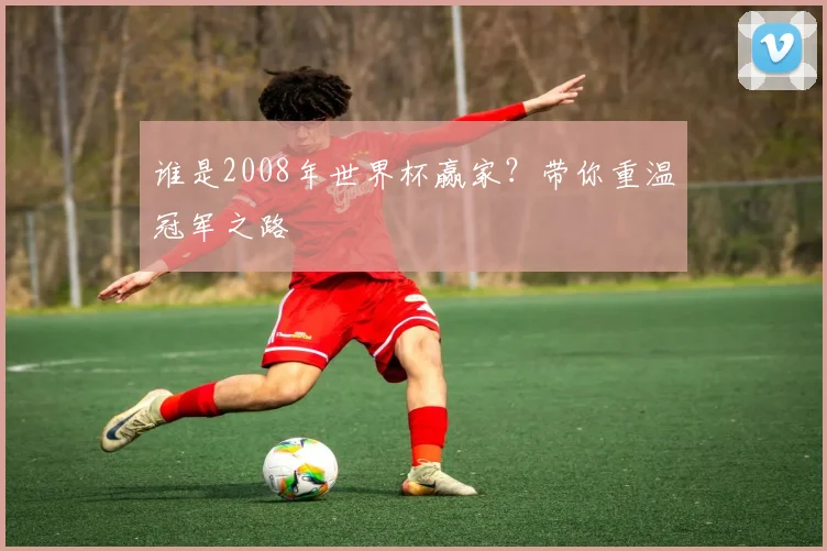 谁是2008年世界杯赢家？带你重温冠军之路