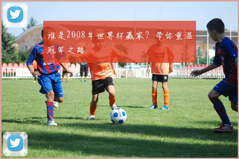 谁是2008年世界杯赢家？带你重温冠军之路