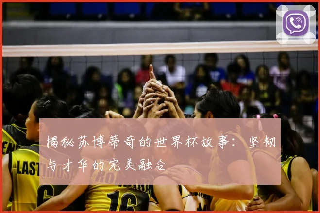 揭秘苏博蒂奇的世界杯故事：坚韧与才华的完美融合
