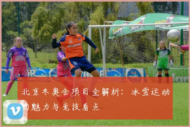 北京冬奥会项目全解析:冰雪运动的魅力与竞技看点